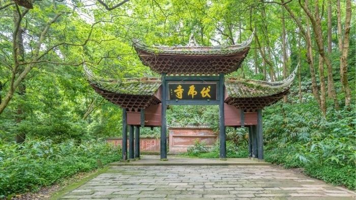 Chùa Phục Hổ ẩn mình trong khu rừng già, mang một vẻ đẹp hoang sơ và bình yên khó tìm thấy ở những nơi khác.