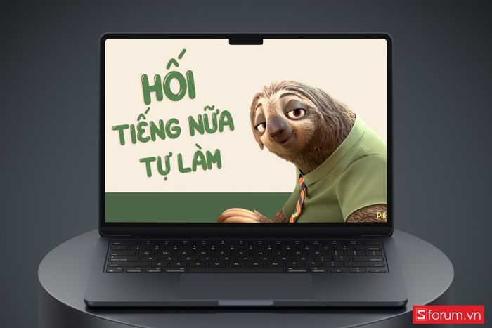 Vì sao hình nền con lười Flash lại gây sốt năm 2026