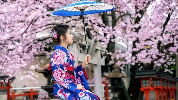 Những điều cần biết khi du lịch Nhật Bản vào mùa hoa anh đào