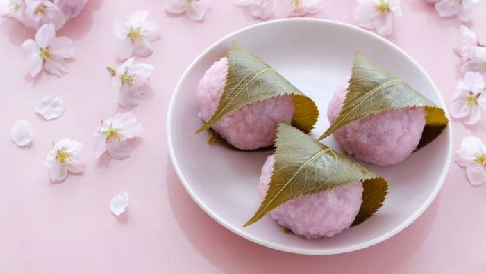 Thưởng thức sakura mochi - món ăn truyền thống trong mùa hoa anh đào Nhật Bản
