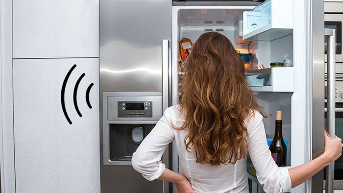 sua-chua-tu-lanh-tai-nha-6