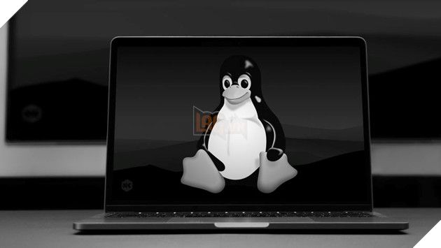 Snapdragon X Elite thất bại trên Linux khi hiệu suất giảm mạnh và không đạt được kỳ vọng.