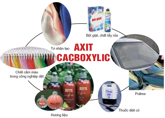 Axit cacbonic ứng dụng trong sản xuất tơ nhân tạo - hình ảnh 2