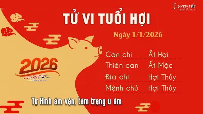 Tử vi hàng ngày 1/1/2026 của Hợi