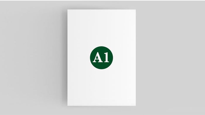 a1-size-9
