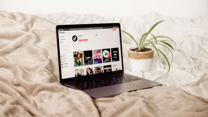 download-tiktok-pc-18