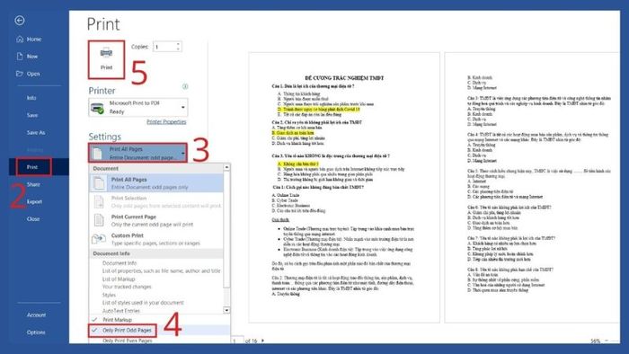 cach-in-2-mat-tren-may-tinh-trong-word-pdf-excel-de-hieu-ai-cung-lam-duoc-11
