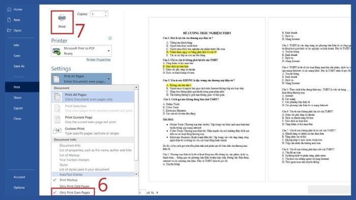 cach-in-2-mat-tren-may-tinh-trong-word-pdf-excel-de-hieu-ai-cung-lam-duoc-12