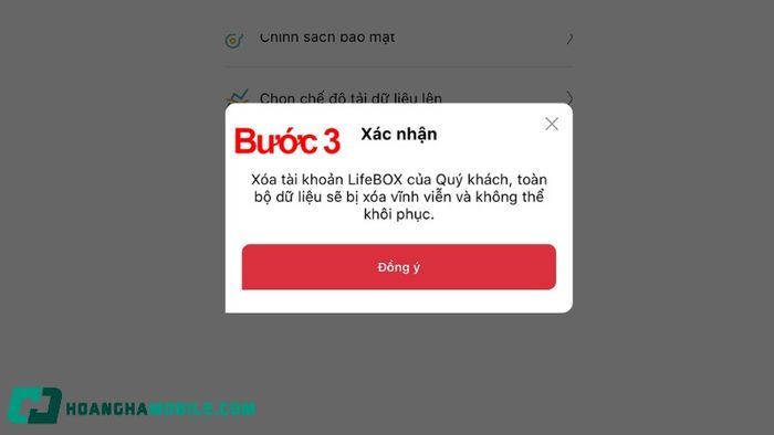 lifebox-8