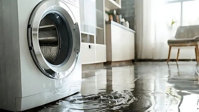 loi-e90-may-giat-electrolux-7