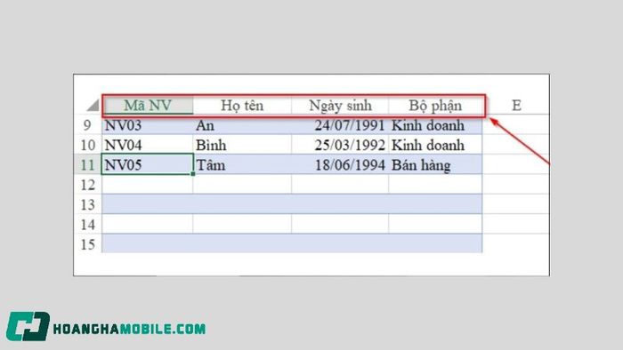 cach-khoa-cot-trong-excel-15
