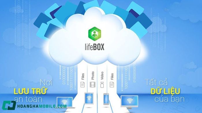 lifebox-1