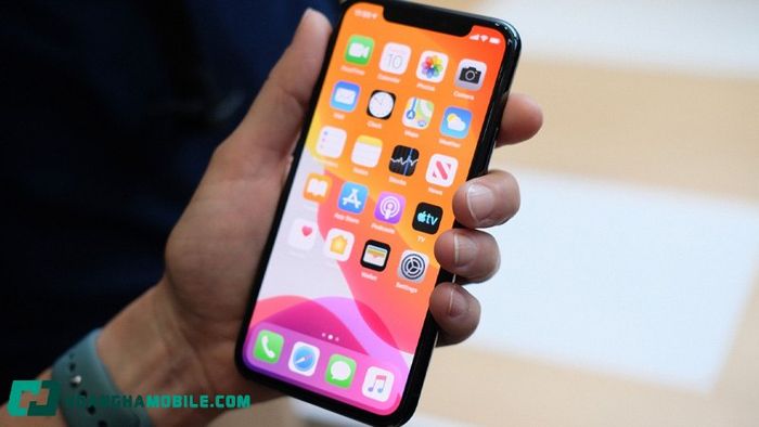 iphone-11-gia-bao-nhieu-3