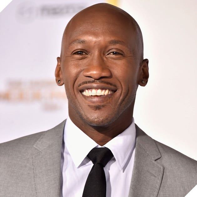 Chân dung của sao nam Mahershala Ali.
