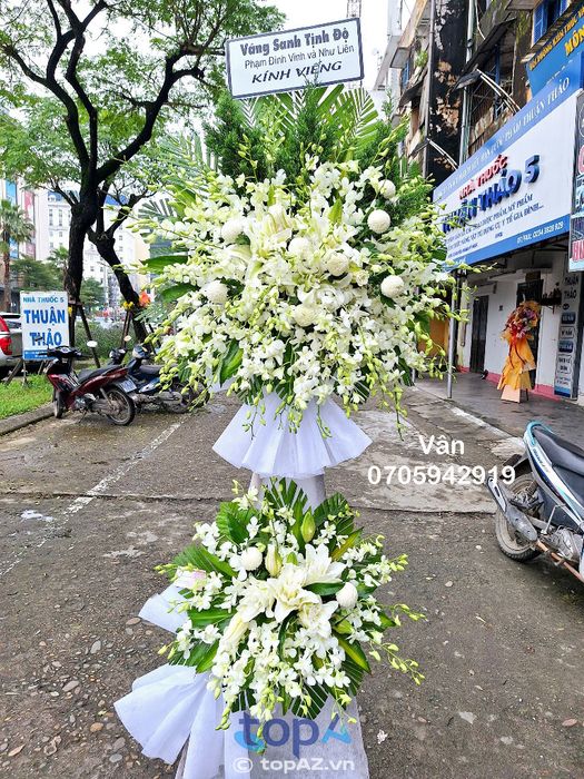 Tulip Flowers TP Huế – Cửa hàng hoa uy tín tại Huế