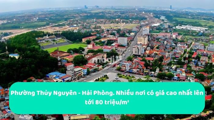 Một số khu vực tại Phường Thủy Nguyên có giá đất cao nhất lên tới 80 triệu đồng/m²