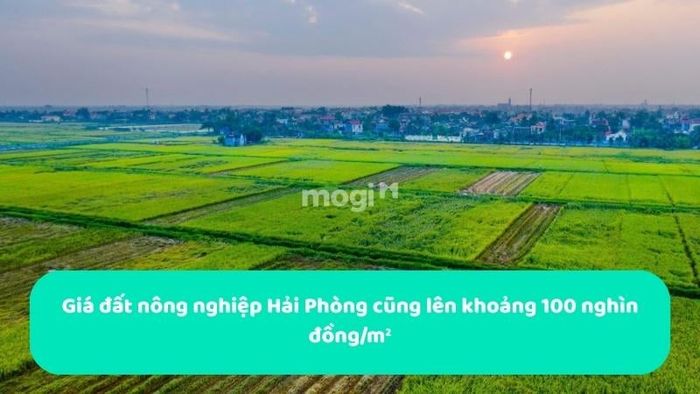 Giá đất nông nghiệp ở một số khu vực của Hải Phòng cũng đã đạt khoảng 100 nghìn đồng/m².