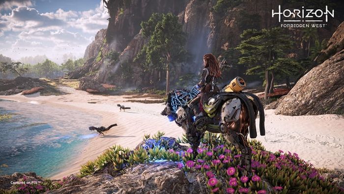 game-ps4-5