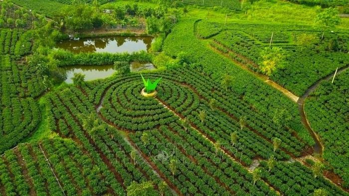 Thực trạng sự chênh lệch giá giao dịch so với bảng giá Nhà nước – Nguồn ảnh: Thư viện Pháp Luật