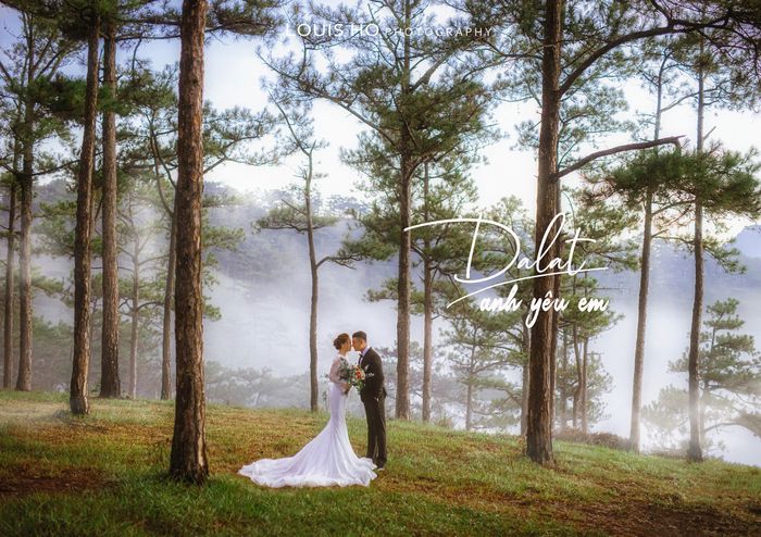 Ảnh cưới tại Louis Ho studio 2