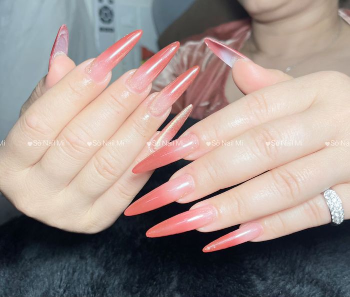 Sò Nail hình ảnh 2