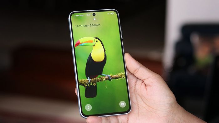 Có khả năng Galaxy A57 sẽ được trang bị màn hình OLED do TCL sản xuất.