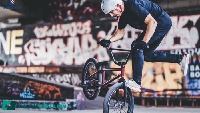 xe-dap-bmx-10