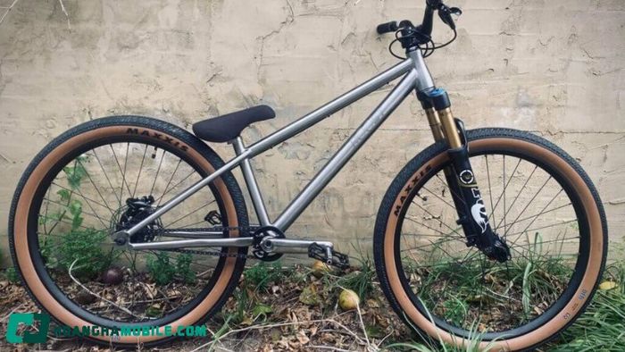 xe-dap-bmx-8