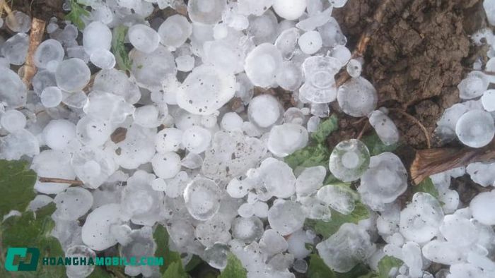 nguyen-nhan-mua-da-5