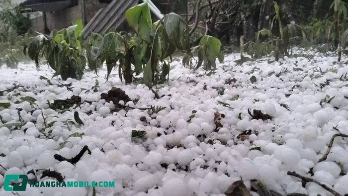 nguyen-nhan-mua-da-8