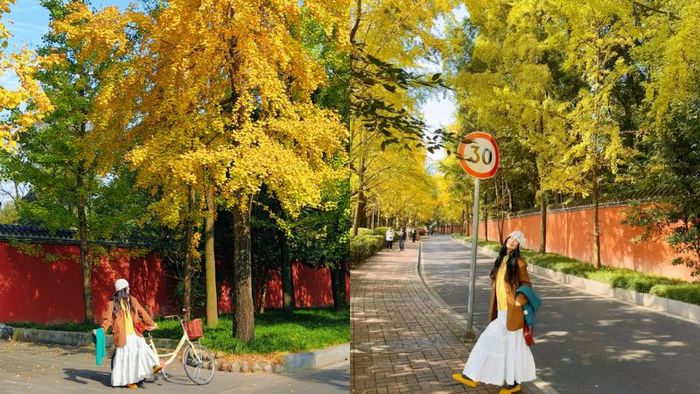 Du lịch Thành Đô vào mùa thu lá vàng
