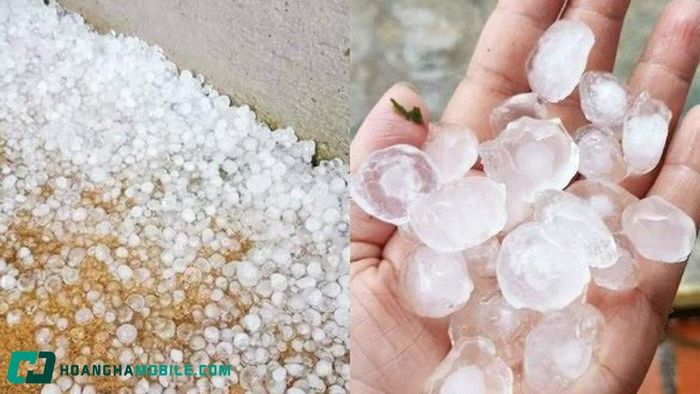 nguyen-nhan-mua-da-2