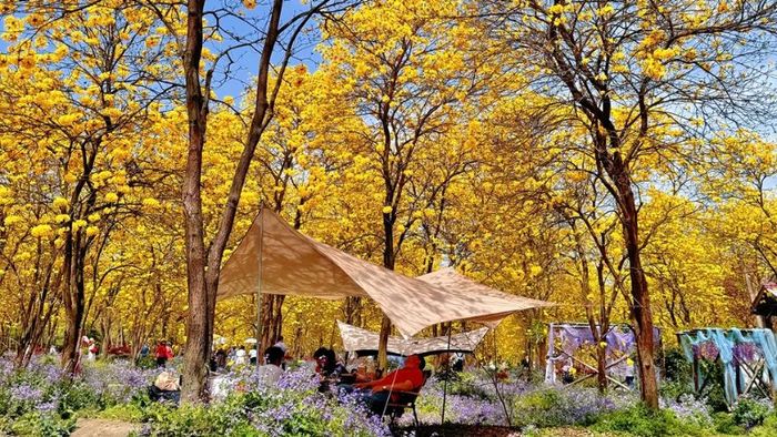 Mùa thu là mùa đẹp nhất để du lịch Thành Đô