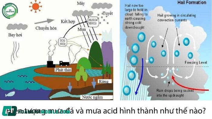 nguyen-nhan-mua-da-4