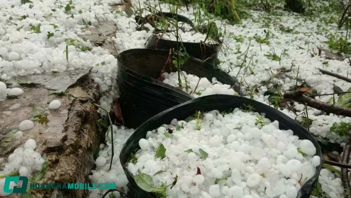 nguyen-nhan-mua-da-7