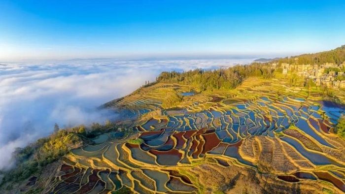 Ghé thăm ruộng bậc thang Nguyên Dương đầy ấn tượng