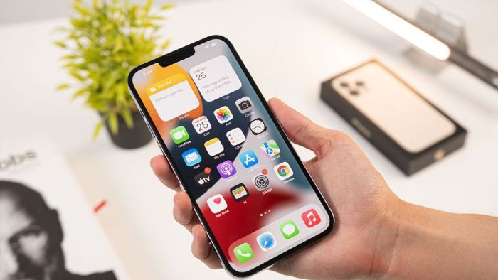 Hướng dẫn kiểm tra ngoại hình iPhone cũ 99%