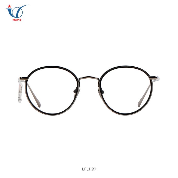 Hình ảnh 1 – Vinaoptic
