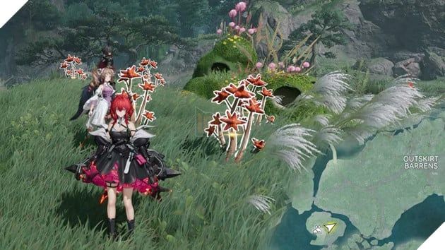 Toàn Bộ Rare Growth & Rare Ore Trong Arknights Endfield: Vị Trí Chi Tiết Theo Bản Đồ 25