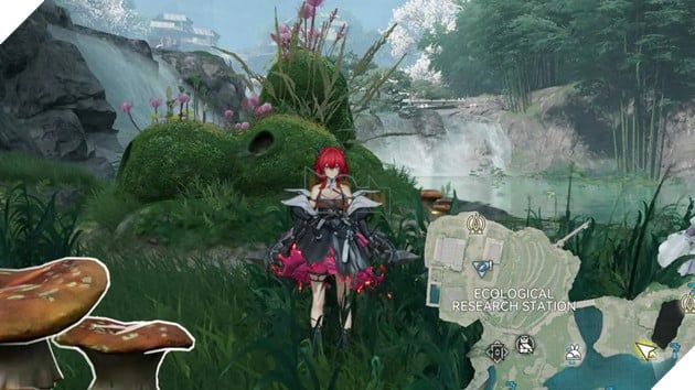 Tất Cả Các Vị Trí Rare Growth & Rare Ore Trong Arknights Endfield: Hướng Dẫn Chi Tiết Theo Bản Đồ 12