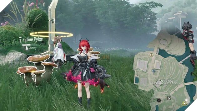 Tất Cả Các Vị Trí Rare Growth & Rare Ore Trong Arknights Endfield: Hướng Dẫn Chi Tiết Theo Bản Đồ 13