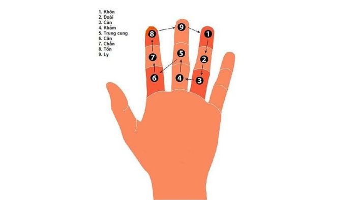 Cách xác định hạn Kim Lâu bằng bàn tay