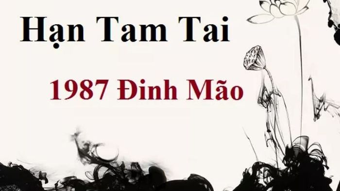 Năm 2026, gia chủ tuổi Đinh Mão 1987 rơi vào hạn Tam Tai năm thứ hai