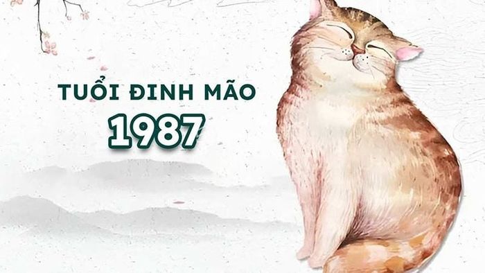 Khái quát phong thủy tuổi Đinh Mão 1987 trong năm 2026