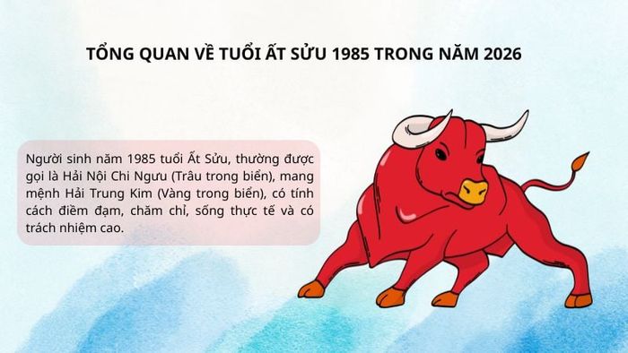Đánh giá về tuổi Ất Sửu 1985 trong năm 2026