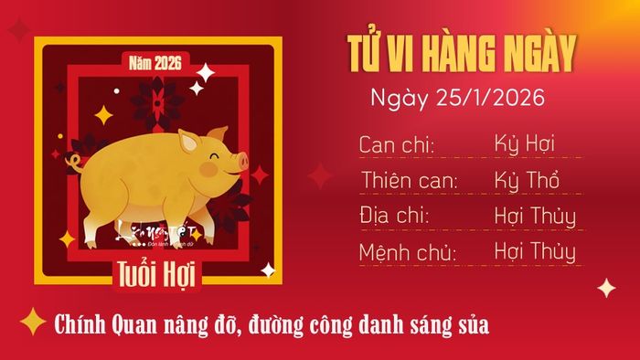 Tử vi hàng ngày 25/1/2026 của tuổi Hợi