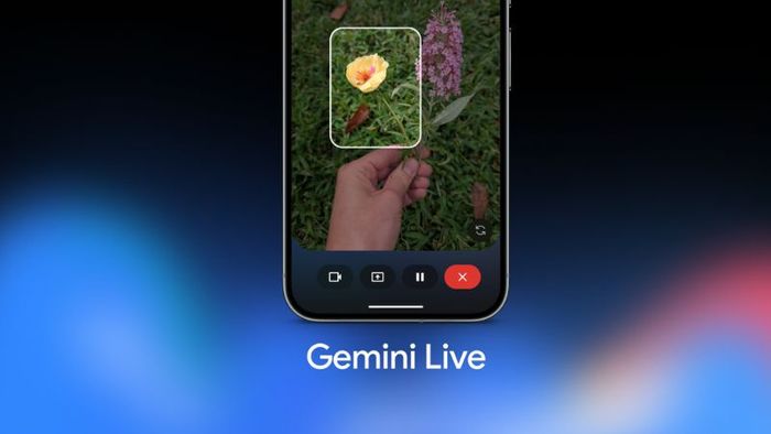 Gemini Live