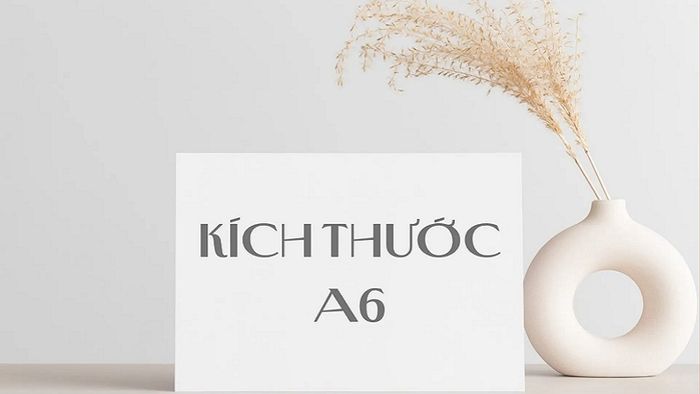 kich-thuoc-giay-a6-21