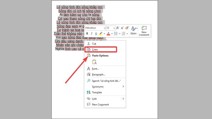 word-to-excel-24