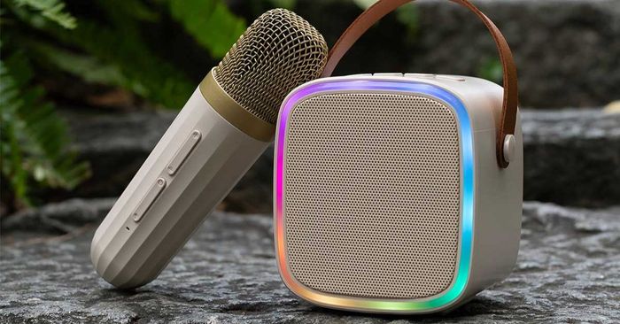 loa-karaoke-gia-dinh